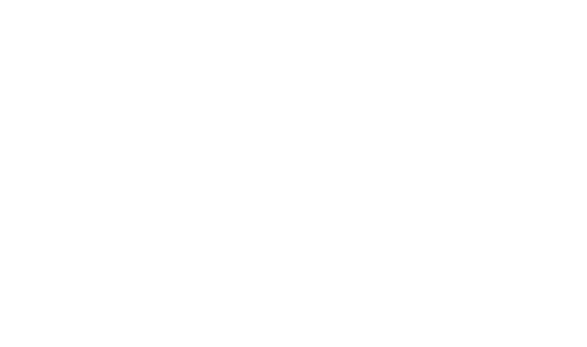 logo foto lili